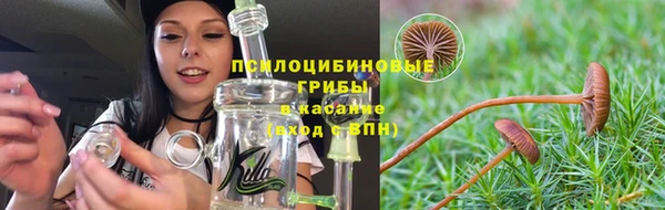 мяу мяу мука Белокуриха