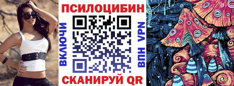 Псилоцибиновые грибы Cubensis  Болотное 